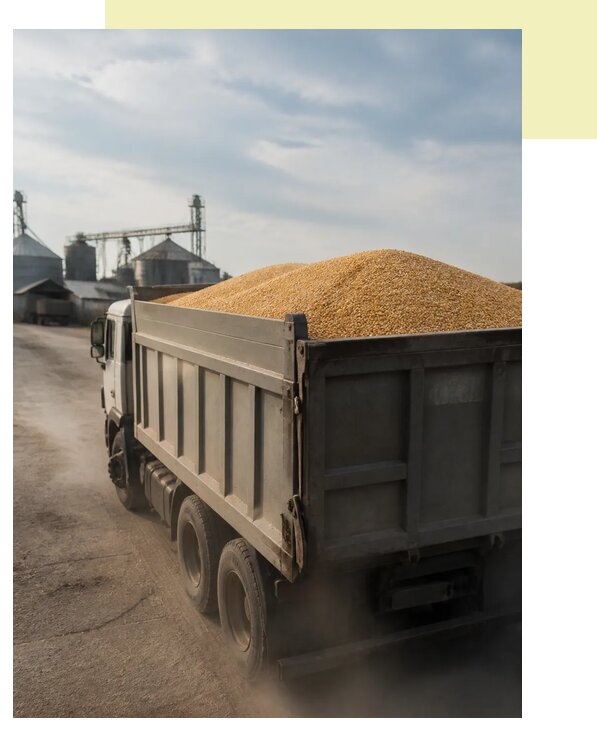 Перевозка сельхозпродукции навалом в Норильск по цене от 3116 р. | Агросервис-Нрл
